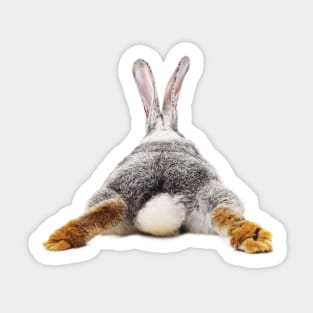 Rabbit 21 Sticker